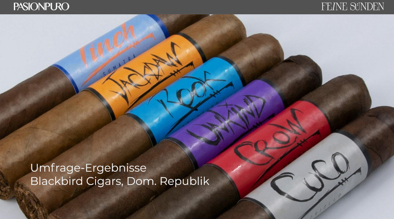 PasionPuro platziert die Cigarrenmarke „Blackbird“ in Deutschland