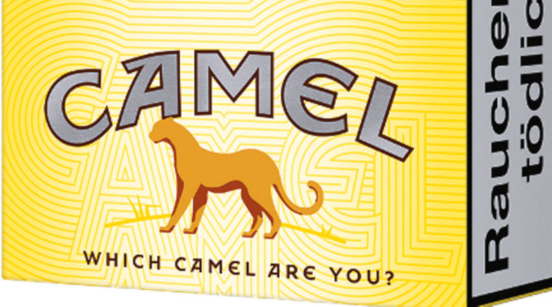 Camel: Mutig kann auch ohne Kamel
