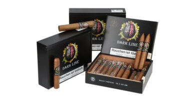 Mit Symbolkraft: ,Helvada Dark Line Brain’